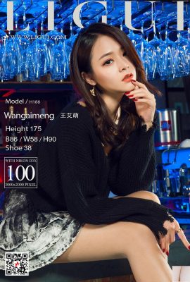 [Ligui] 20180127 Modelo de beleza da Internet Wang Aimeng [102P]