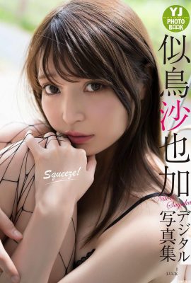 (Nitori Sayaga) Ela tem um rosto lindo e seios grandes e não científicos que são extremamente tentadores (27P)