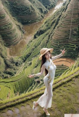 Terraços de arroz
