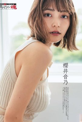 (Sakurai Otono) Tentação de biquíni e peito pesado (7P)