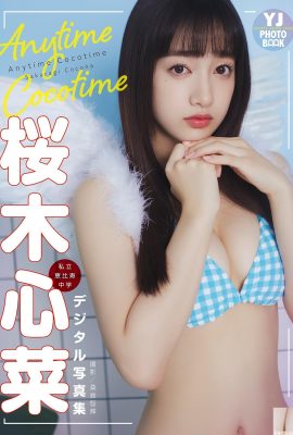 (Sakura Sakura) A figura atraente da garota Sakura é tão gostosa que as pessoas não conseguem resistir (22P)