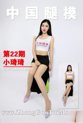 (ZGTM) Modelo de perna chinesa 2017-10-05 No.022 Xiao Qiqi (26P)