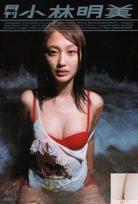 Akemi Kobayashi (Álbum de fotos) (Mensal シリーズ028) – Mensal 028 (57P)