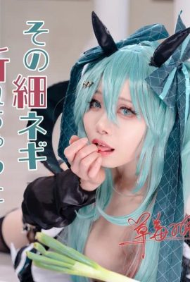 Hatsune Miku: Aquela cebola verde fina quebrou?