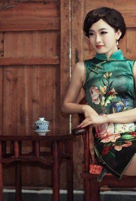 Pintura a óleo da encantadora beleza cheongsam (8P)