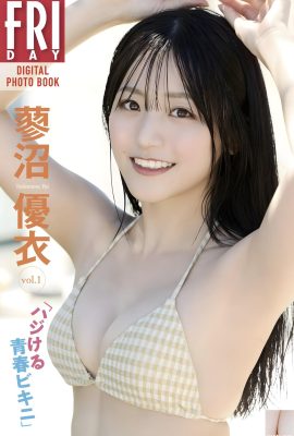 (Tainu Nichi) Angel Face + Diabo Figura é extremamente perfeita (22p)