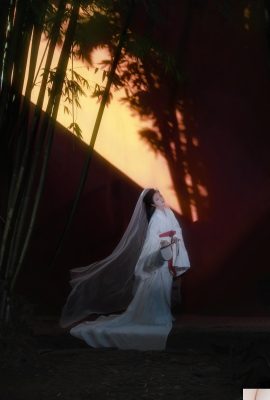 Assim como Guzhao Yu Jin (22p)