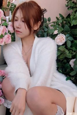 A beleza ao lado “Eve Butterfly” é bastante atraente (10p)