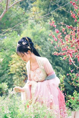 (Foto de conjunto de modelos chineses) Nnian”Begonia Fairy” (84p)