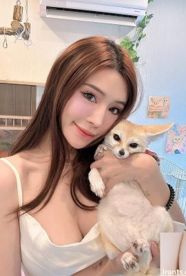 Recursos faciais profundos “Molly” Capture Your Heart (12p)