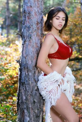 Dzhili – Pico da natureza (113p)