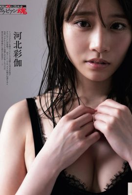 (Hebei Caijia) Os olhos da deusa quente são charmosos e sexy (10p)