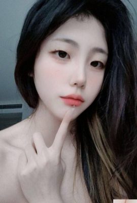 Traga estudantes universitários puros (12P