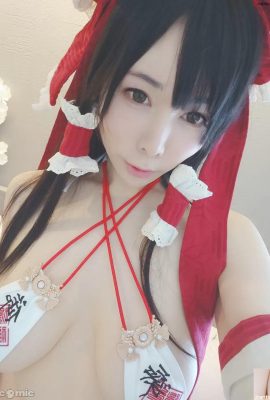 Acompanhamento – Reimu Hakurei (37P)